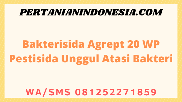 Bakterisida Agrept 20 WP Pestisida Unggul Atasi Bakteri